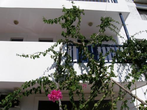 Bay Watch Aparthotel Karpathos Luaran gambar